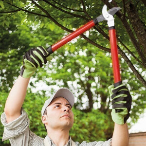 Gartenservice.jpeg